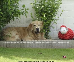 Ferienhaus Dumont Bild 11