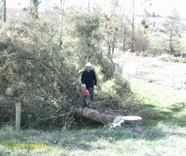 Bouvier Gianni image 15