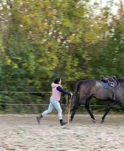 Ponte F SARL image 11