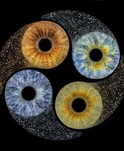 Studio Lichtwert Bild 20