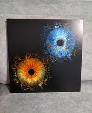 Iris Galerie image 17
