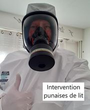 Protec Nuisibles image 11