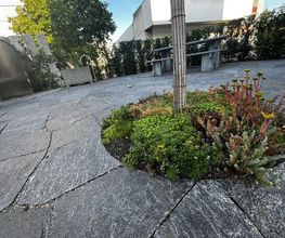 Schneider Gartengestaltung AG Bild 14