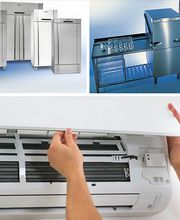 Mazza Frigorifiques Bild 3