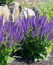 t & t André Tanner Bild 4