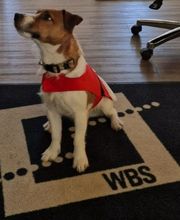 WBS TRAINING Bremerhaven Bild 19