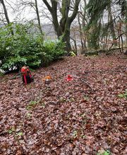 WhatsApp Bild 2023-12-16 um 23.08.27_f1a98d4f.jpg