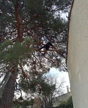 THILL SEBASTIEN image 7