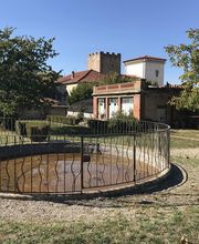 Kokon Immobilier image 13