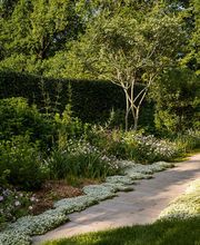 Mint Gardens Bild 10