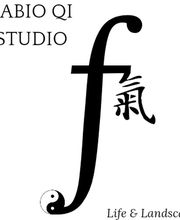 Fabio Qi Studio immagine 6
