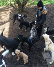 Martin Hofmann Bild 16