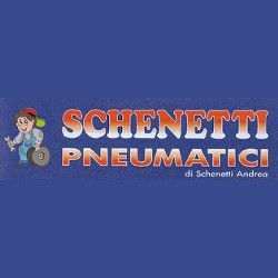 Schenetti Pneumatici logo