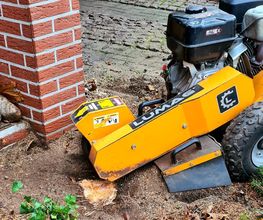 Der Gartenpionier Bild 8