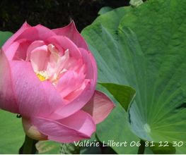 Lilbert Valérie image 3