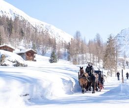 Kutschen Davos Bild 2