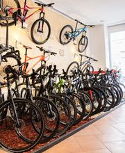 Therapiewelt Lemper Bild 8