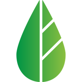 THE ēSSENTIAL DENTIST