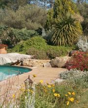 C.Provence paysage image 8