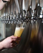 Catalyst Crafted Ales image 8