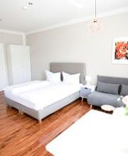 Komfort Apartment mit Sauna:
Wohn/Schlafbereich mit Bettsofa und Küche