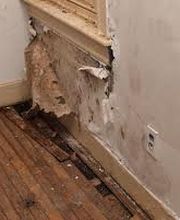Alliance Environmental Group image 7