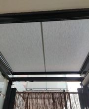 Hipertoldos imagen 8