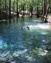 Florida Showcase Realty, LLC image 13