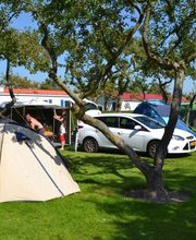 Camping In de Bongerd