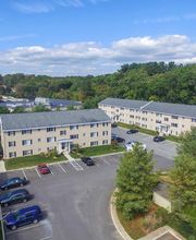 Cedar Tree Apartments image 8