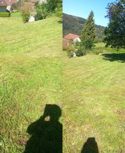 CL Multi Services image 11