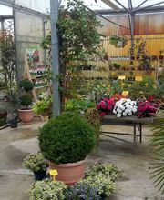 Les Jardins D'Alexandre image 1