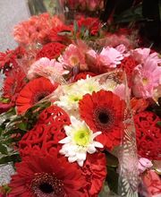 Intermarché SUPER Brive image 12
