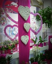 Fleur D'O image 8