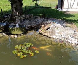 LEDER Garten- + Landschaftsbau Bild 9