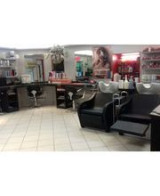 Evolu Tifs 3 image 6