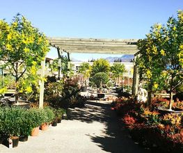 Jardiland image 6