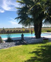 Royal Piscines & Spa image 2