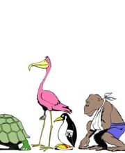 dr. Mazzi Michele Bild 7