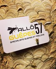 Allô Guêpes 57 image 3