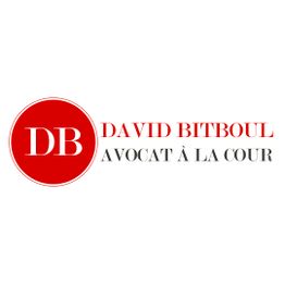 Bitboul David