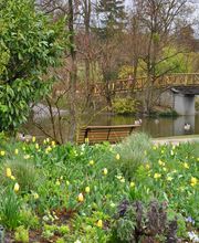 Agence immobilière Laforêt Le Vesinet image 12