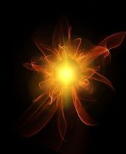 Les Cinq Sens image 6