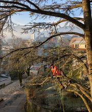 ALT ELAGAGE SAVOIE image 10