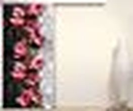 SP Porte e Finestre in pvc immagine 4