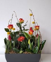 Blumen Steinhilber Weiden Bild 3