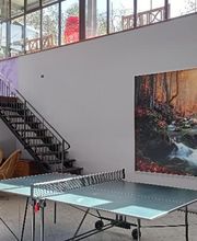Gallery Cliente