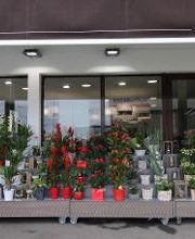 Carrément Fleurs - Fleuriste Le Passage Agen 47 - Livraison de fleurs à domicile image 4