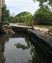 Ribera Olivier Paysages image 18