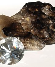 Roig Raymond image 15